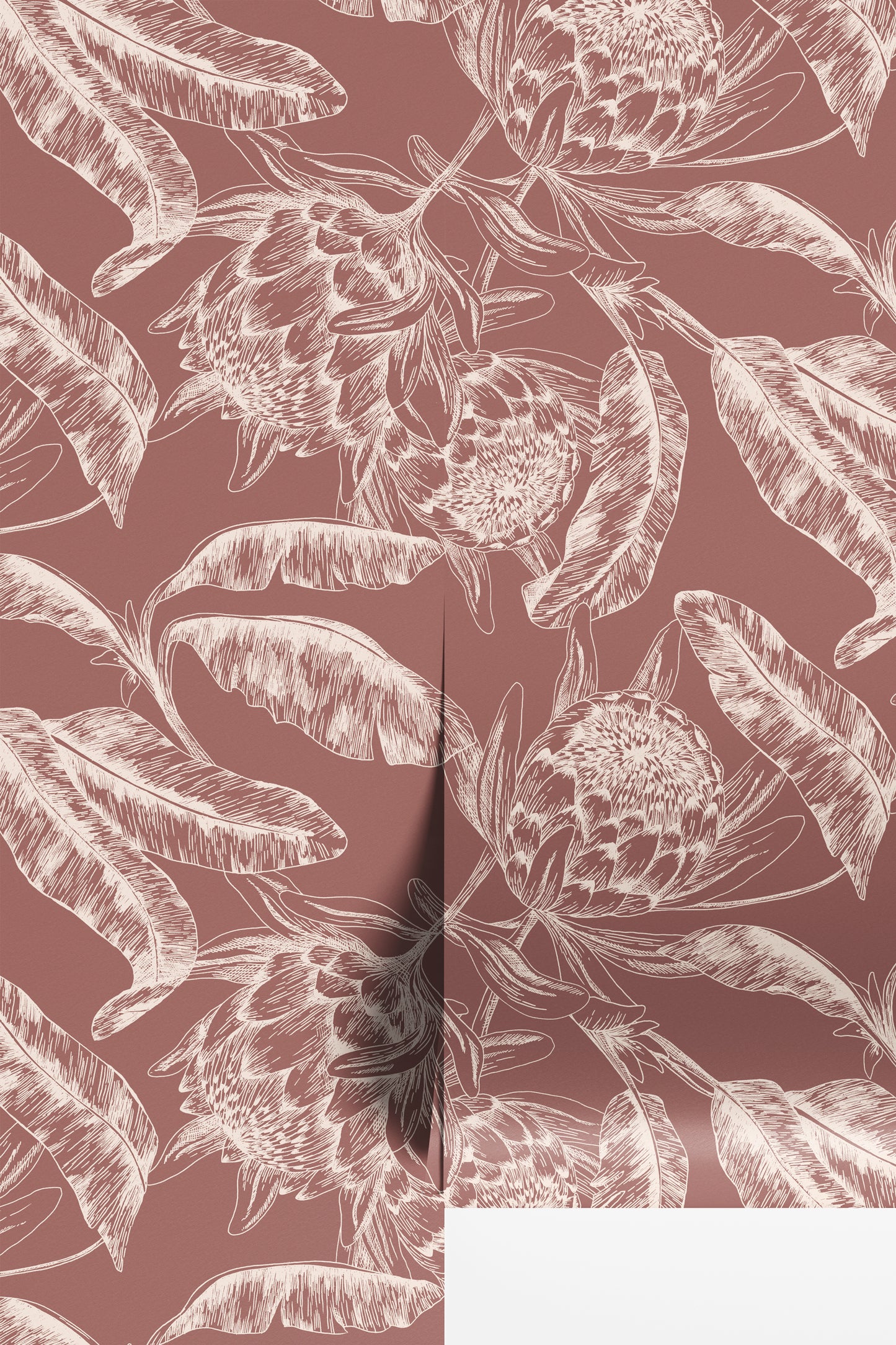 Protea