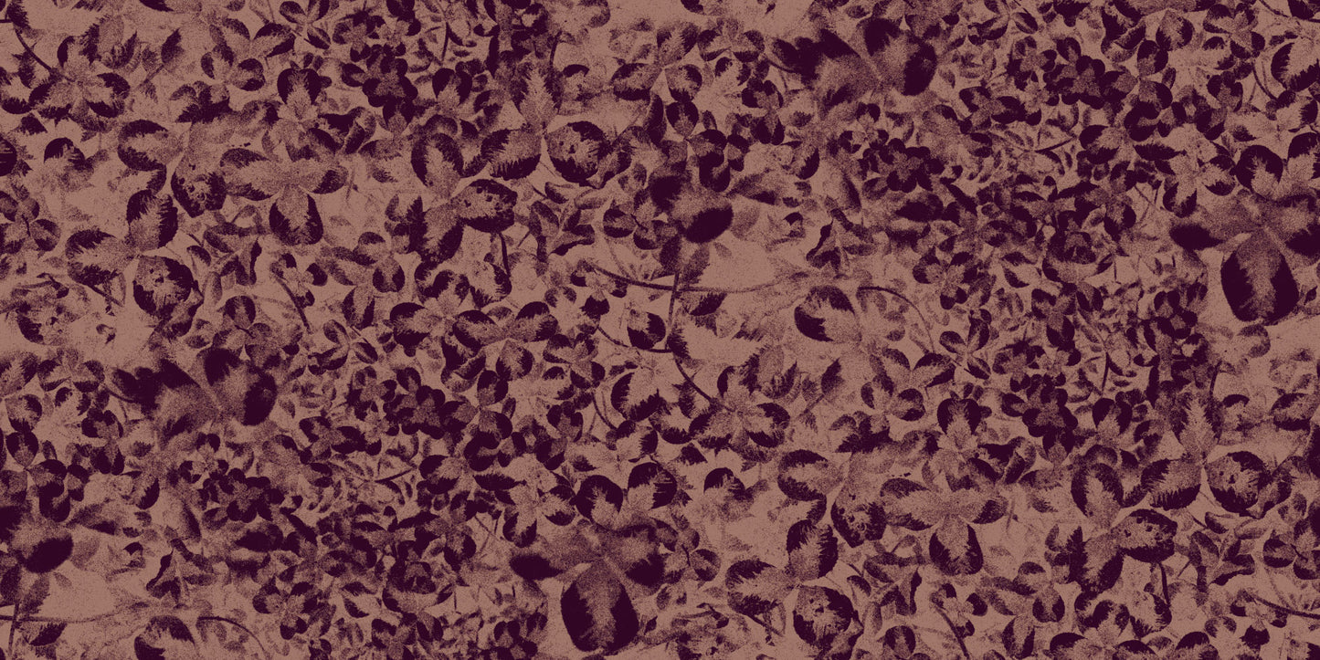 bonheur-prune-preview